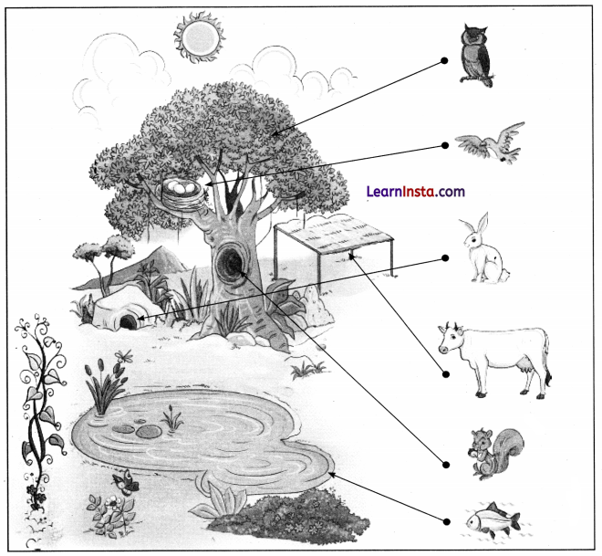 Reena Ka Din Class 1 Question Answer Hindi Chapter 3 5