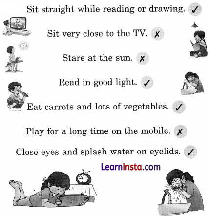 Seeing without Seeing Class 2 Question Answer English Chapter 4 6