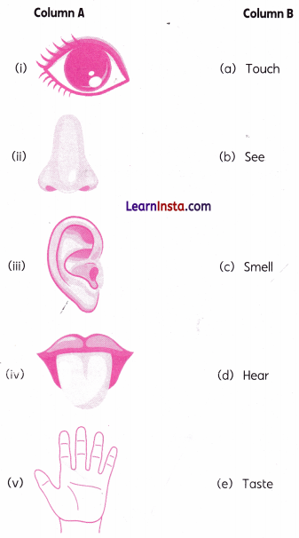 Seeing without Seeing Class 2 Worksheet with Answers English Chapter 4 1