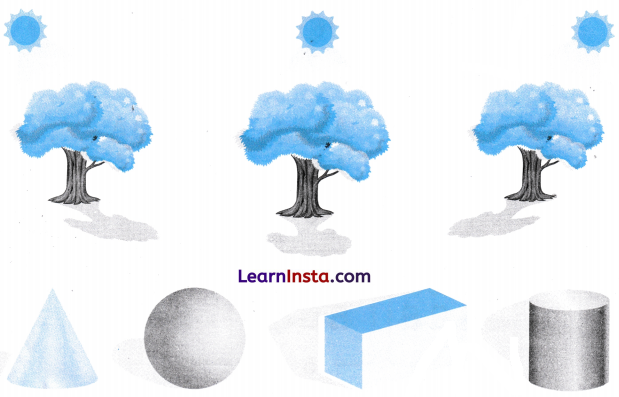Shadow Story Class 2 Worksheet with Answers Maths Chapter 4 1
