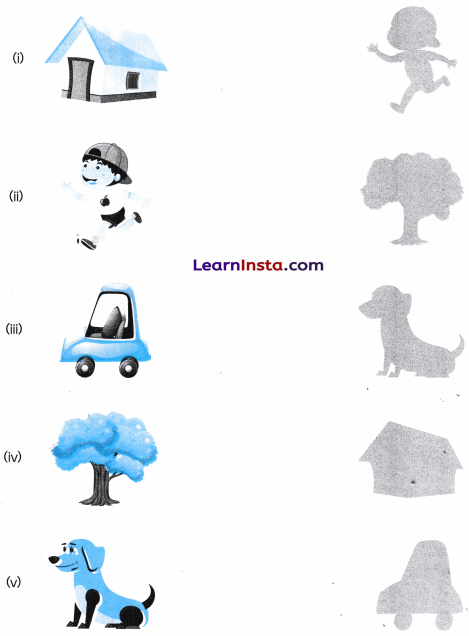 Shadow Story Class 2 Worksheet with Answers Maths Chapter 4 3