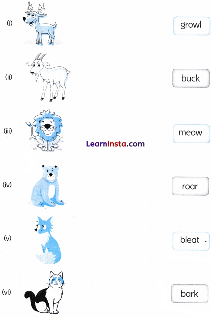 Shadow Story Class 2 Worksheet with Answers Maths Chapter 4 5