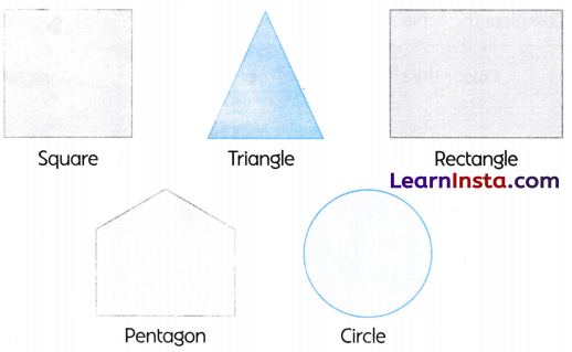 Shadow Story Class 2 Worksheet with Answers Maths Chapter 4 7
