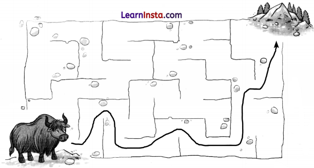 Sher Aur Chuha Ki Dosti Class 2 Question Answer Hindi Chapter 18 10