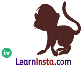 So Many Toys Class 1 Question Answer Solutions Maths Chapter 13 38