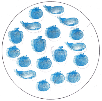 So Many Toys Class 1 Worksheet with Answers Maths Chapter 13 1