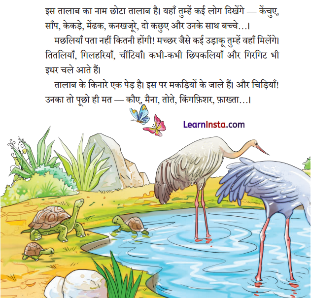 Talab Class 2 Question Answer Hindi Chapter 13 1