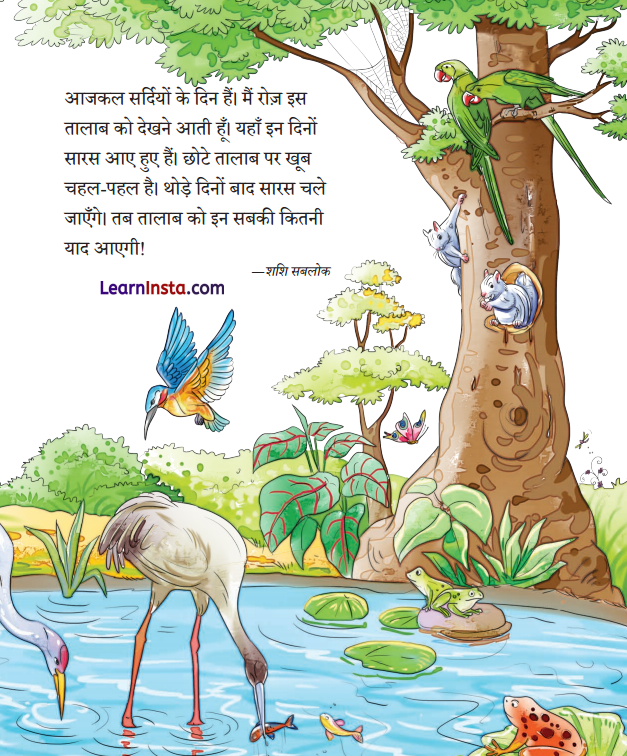 Talab Class 2 Question Answer Hindi Chapter 13 2
