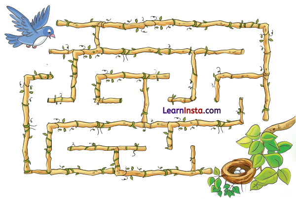 Talab Class 2 Question Answer Hindi Chapter 13 5