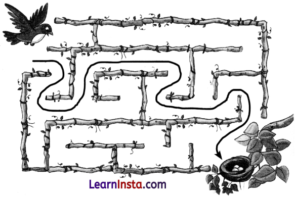 Talab Class 2 Question Answer Hindi Chapter 13 6