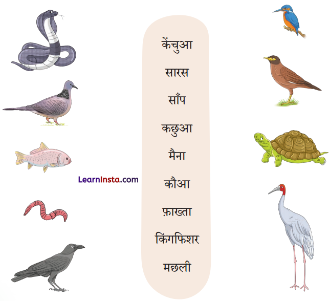 Talab Class 2 Question Answer Hindi Chapter 13 7