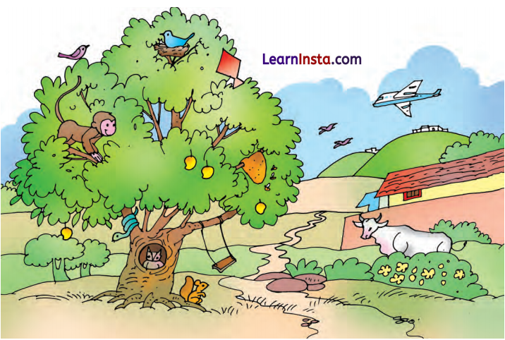 The Cap-seller and the Monkeys Class 1 Question Answer English Chapter 4 20
