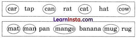 The Cap-seller and the Monkeys Class 1 Question Answer English Chapter 4 6