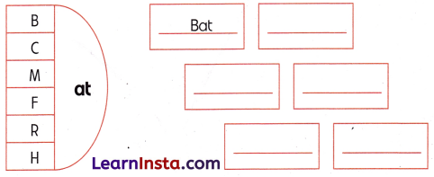 The Cap-seller and the Monkeys Class 1 Worksheet with Answers English Chapter 4 11
