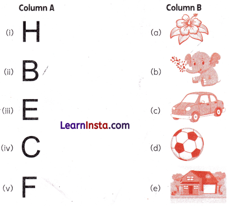 The Cap-seller and the Monkeys Class 1 Worksheet with Answers English Chapter 4 3