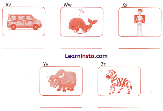 The Cap-seller and the Monkeys Class 1 Worksheet with Answers English Chapter 4 6