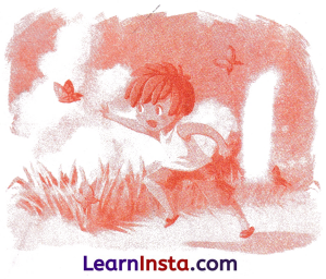 The Cap-seller and the Monkeys Class 1 Worksheet with Answers English Chapter 4 7