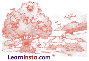 The Cap-seller and the Monkeys Class 1 Worksheet with Answers English Chapter 4 8