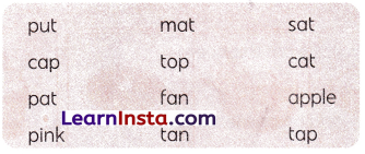 The Cap-seller and the Monkeys Class 1 Worksheet with Answers English Chapter 4 9