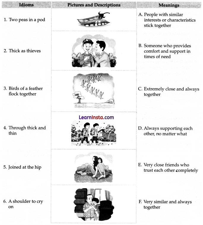 The Chair Class 6 Worksheet 1