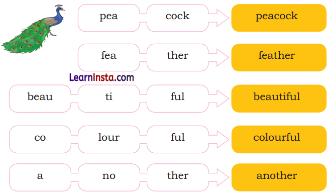The Crow Class 2 Question Answer English Chapter 10 6