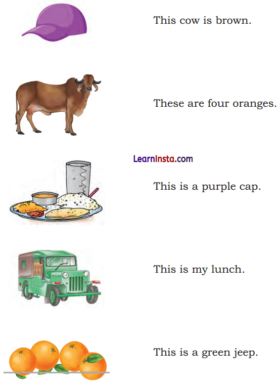 The Food We Eat Class 1 Question Answer English Chapter 7 10