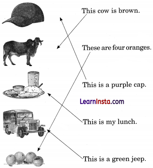 The Food We Eat Class 1 Question Answer English Chapter 7 11