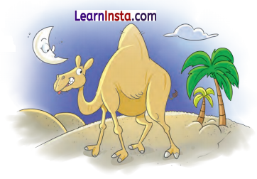 Tin Sathi Class 1 Question Answer Hindi Chapter 6 12