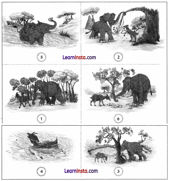 Tin Sathi Class 1 Question Answer Hindi Chapter 6 7