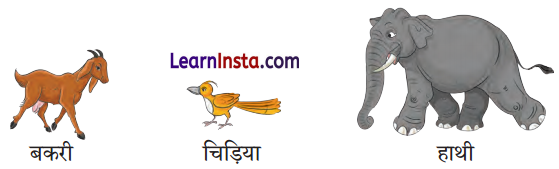 Tin Sathi Class 1 Question Answer Hindi Chapter 6 8