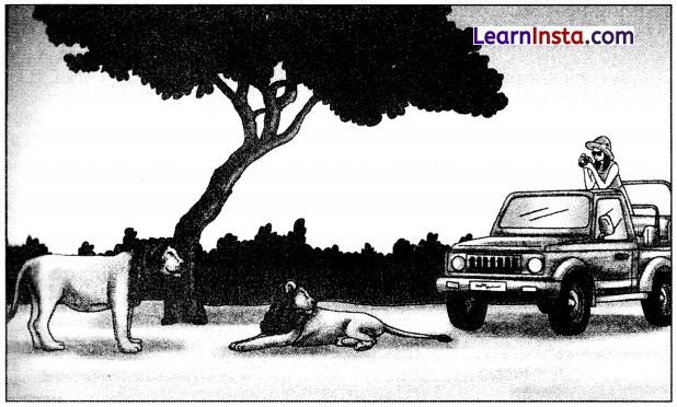 Total English Class 10 Chapter 13 Test Paper 13 Answers Solutions 1