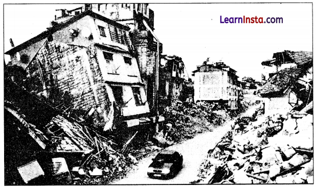 Total English Class 10 Chapter 7 Test Paper 7 Answers Solutions 1