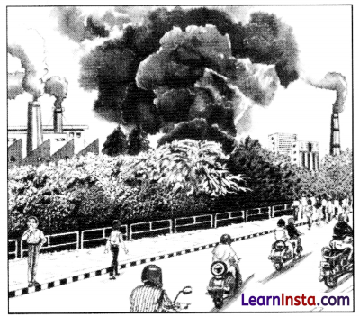 Total English Class 9 Chapter 6 Practice Paper 6 Answers Solutions 2