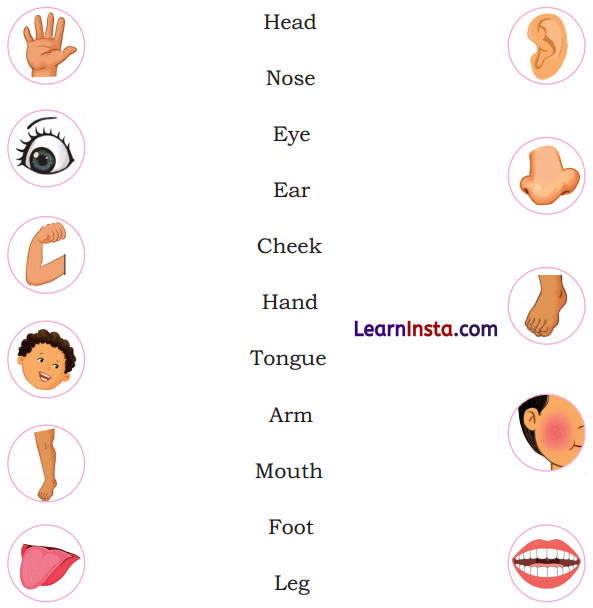 Two Little Hands Class 1 Question Answer English Chapter 1 5
