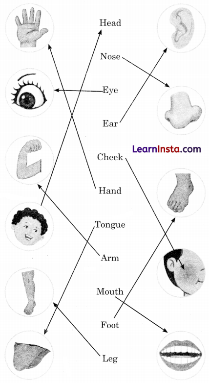 Two Little Hands Class 1 Question Answer English Chapter 1 6