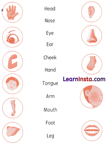 Two Little Hands Class 1 Worksheet with Answers English Chapter 1 10