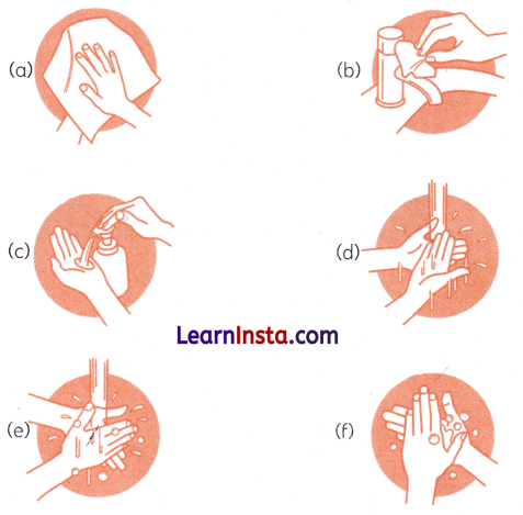 Two Little Hands Class 1 Worksheet with Answers English Chapter 1 11