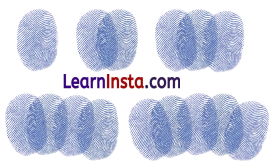 Utsav Class 1 Question Answer Solutions Maths Chapter 9 4