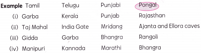 We Are All Indians Class 2 Worksheet with Answers English Chapter 13 1