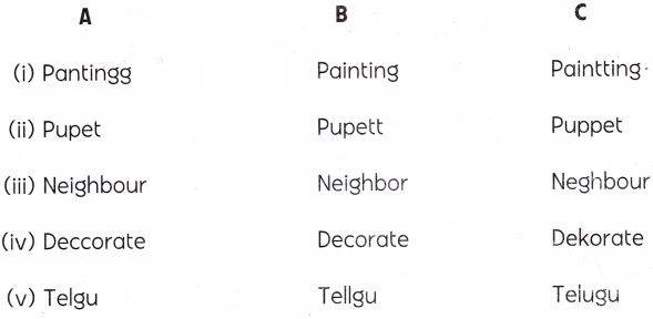 We Are All Indians Class 2 Worksheet with Answers English Chapter 13 2