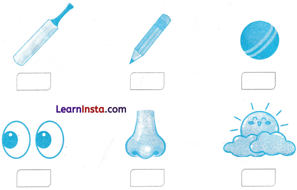 What is Long What is Round Class 1 Worksheet with Answers Maths Chapter 2 3