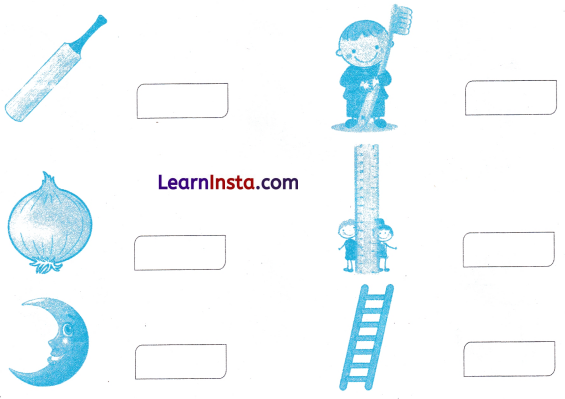 What is Long What is Round Class 1 Worksheet with Answers Maths Chapter 2 4