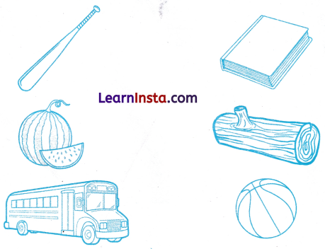 What is Long What is Round Class 1 Worksheet with Answers Maths Chapter 2 5