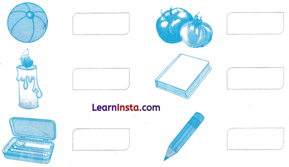 What is Long What is Round Class 1 Worksheet with Answers Maths Chapter 2 8