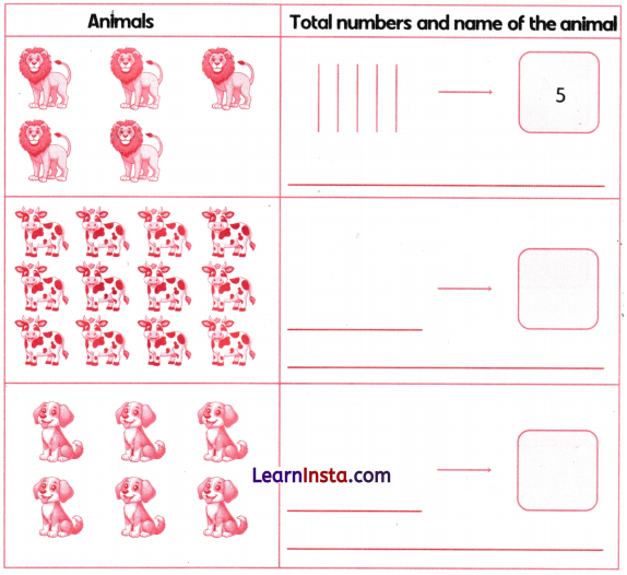 What’s in a Name Class 3 Worksheet Maths Mela Chapter 1 1