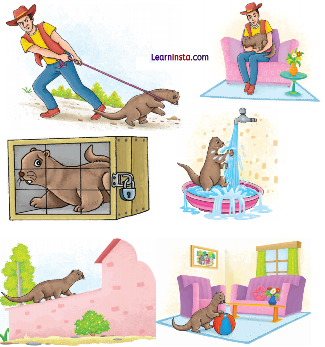 Words and Expressions Class 10 Solutions Unit 6 Mijbil the Otter - 1
