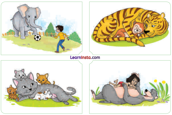 Words and Expressions Class 9 Solutions Unit 9 - 1