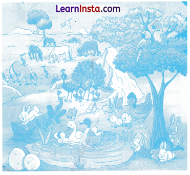 कितनी प्यारी है ये दुनिया Class 1 Worksheet with Answers Hindi Chapter 18 7