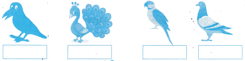 कितनी प्यारी है ये दुनिया Class 1 Worksheet with Answers Hindi Chapter 18 8