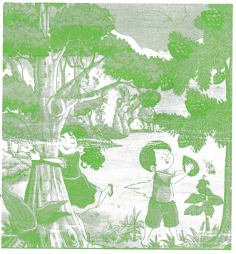तालाब Class 2 Worksheet with Answers Hindi Chapter 13 1